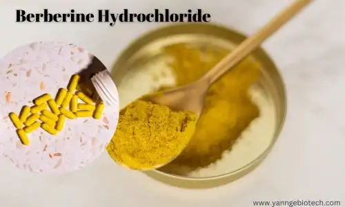 Berberine Hydrochloride vs. Other Supplements: A Comparison